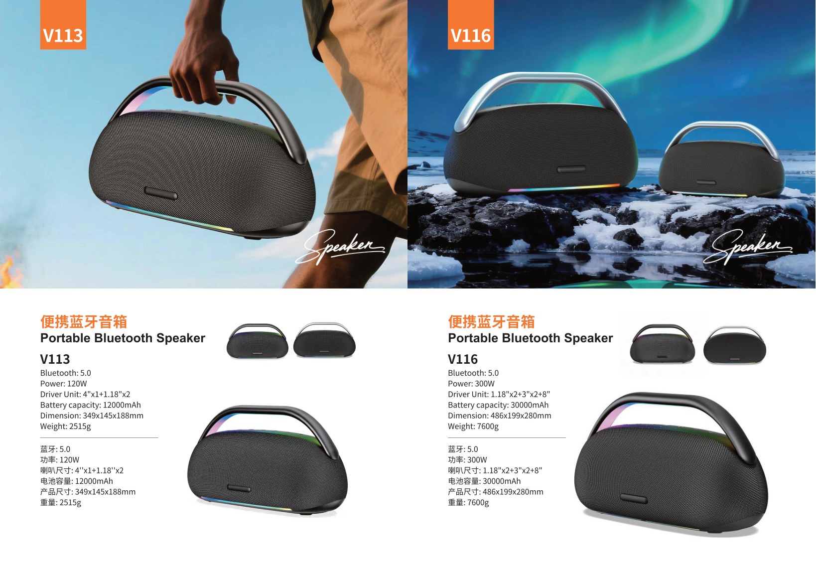 Bluetooth Speaker